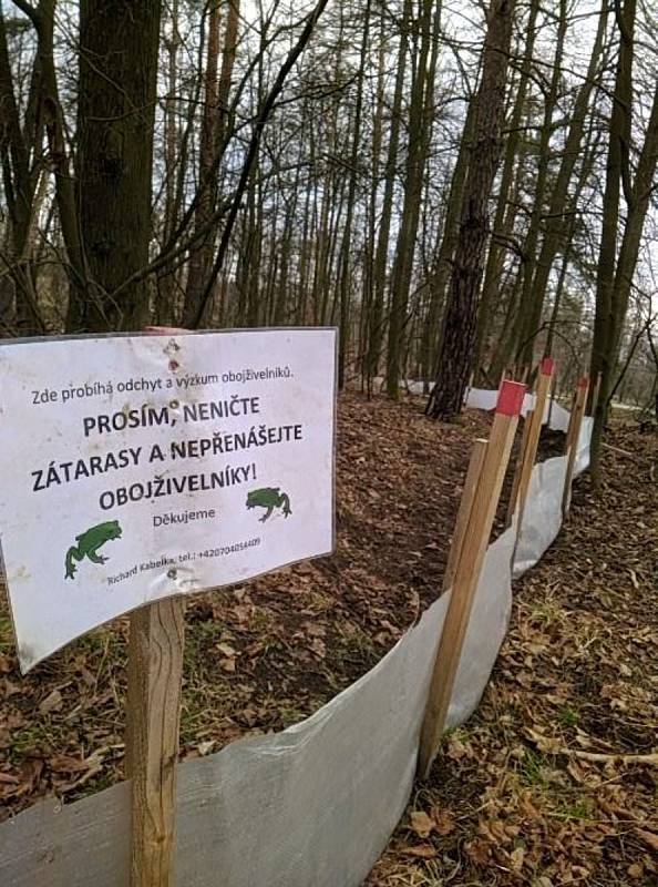 Stavba dočasných zábran u rybníka Jarošovský Kacíř na Třebíčsku.