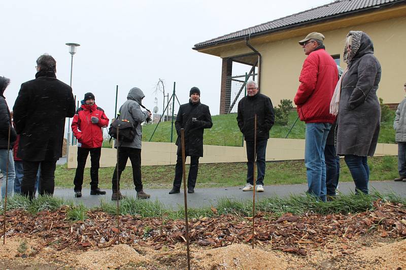 Kojetice mají po hroznech ve znaku i vlastní vinici