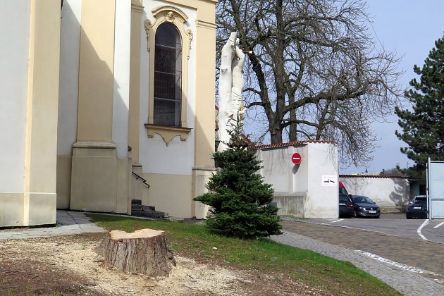 Po stromech u třebíčského kostela zůstaly jen pařezy, obyvatele to mrzí