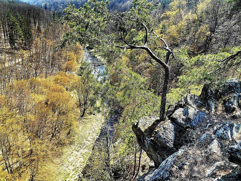 Národní přírodní rezervace Divoká Oslava