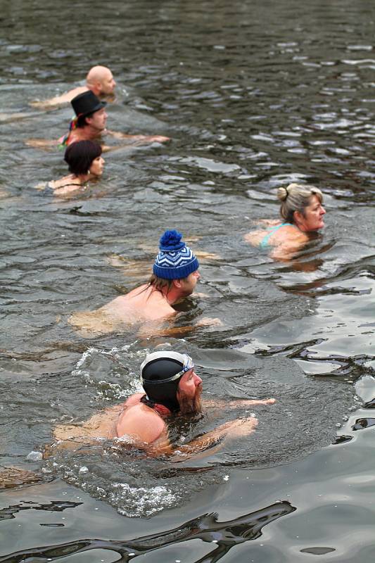 Otužilci v řece Jihlavě v Třebíči. Plavání uspořádal Klub ledních medvědů.