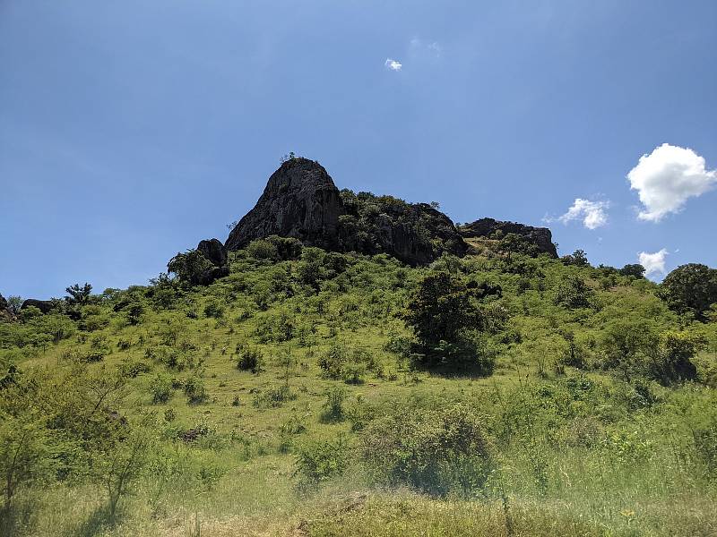 Africká krajina. Foto: Ústav biologie obratlovců AV ČR ve Studenci na Třebíčsku