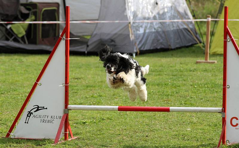 Velikonoční agility závod v Třebíči.