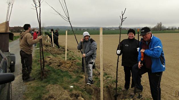 Nové ovocné stromořadí lemuje oblíbenou vycházkovou cestu