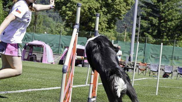 Mezinárodní mistrovství ČR border kolií v agility.