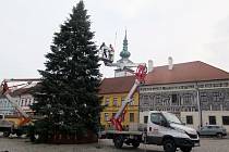 Zdobení vánočního stromu v Třebíči
