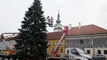 Zdobení vánočního stromu v Třebíči
