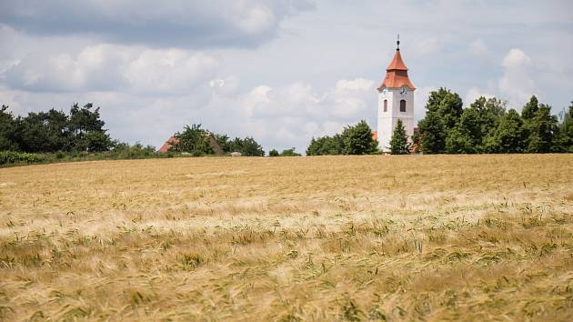 Sucho je zapomenuto. Na Žďársku napršelo dvakrát tolik vody, než normálně