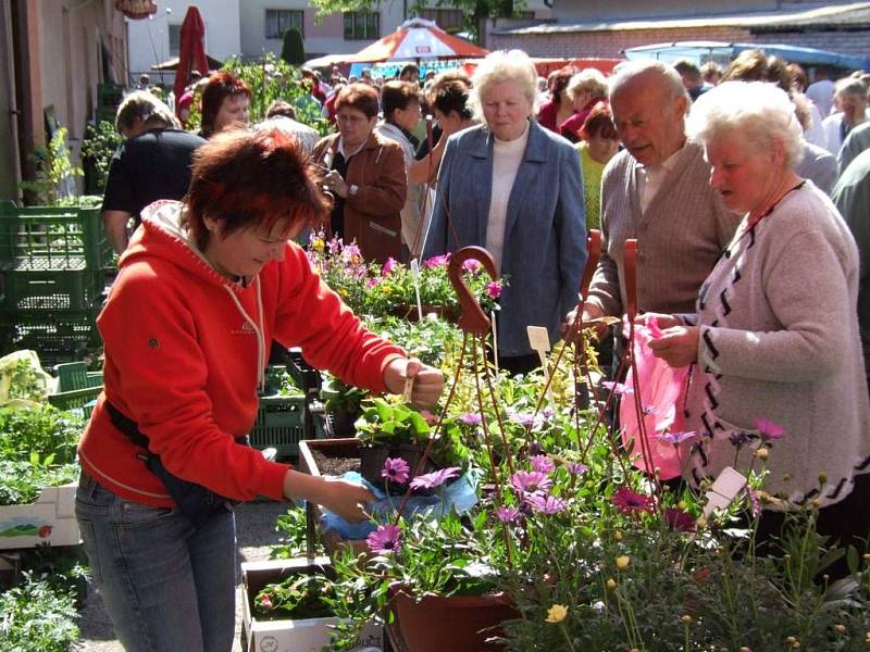 Největší zájem byl o květiny. Devátý ročník výstavy Dům a zahrada přilákal do Koněšína jako tradičně hodně lidí ze širokého okolí.