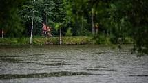 Nádherné slunečné počasí, ale i pořádný osvěžující déšť ke konci závodu provázel běžce na Milovech, kam letos úplně poprvé zavítal běžecký seriál Běhej lesy.