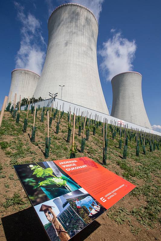 Slavnostní otevření jaderné vinice u Jaderné elektrárny Dukovany.