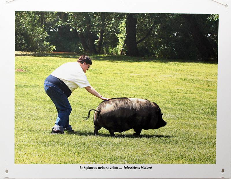 Výstava fotografií v tréninkové kavárně Splněný sen na státním zámku v Jaroměřicích nad Rokytnou.