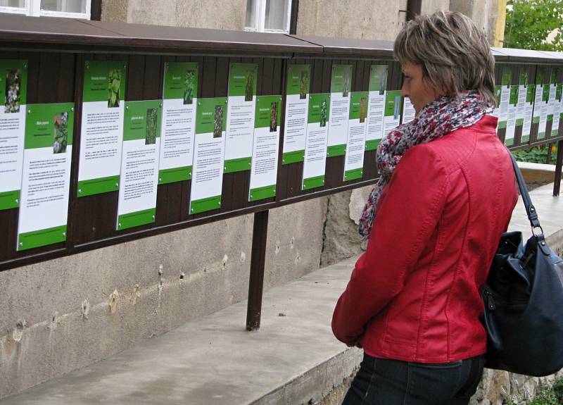 V Katolickém gymnáziu Třebíč mají nově bylinkovou zahrádku s pěti desítkami rostlinek. Její součástí je také naučná stezka s informacemi o bylinkách i příjemné posezení pro studenty a veřejnost.