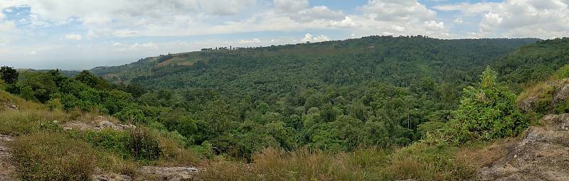 Africká krajina. Foto: Ústav biologie obratlovců AV ČR ve Studenci na Třebíčsku