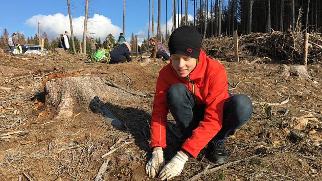 Lidé houfně pomáhají lesům. Zalesňují holiny na Třebíčsku