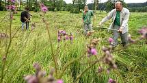 Devět dobrovolníků z řad ochránců přírody v pondělí časně ráno začalo kosit chráněná podmáčená luka se vzácnými orchidejemi poblíž Zašovic na Třebíčsku.