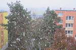 První sníh letošní zimy v Třebíči