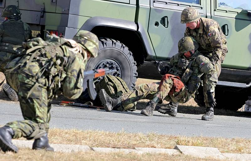 Scénářů cvičení Safeguard 2016 bylo několik. Vojáci a policisté museli například čelit ozbrojenému útoku teroristů z osobního vozidla a také z autobusu. Ve druhém scénáři navíc museli myslet i na rukojmí, které útočníci zadržovali.