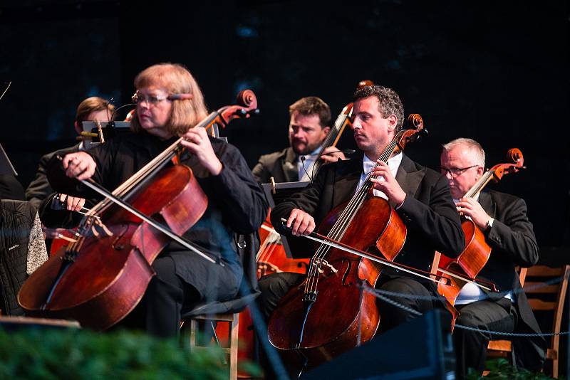 Mezinárodní hudební festival Petra Dvorského.