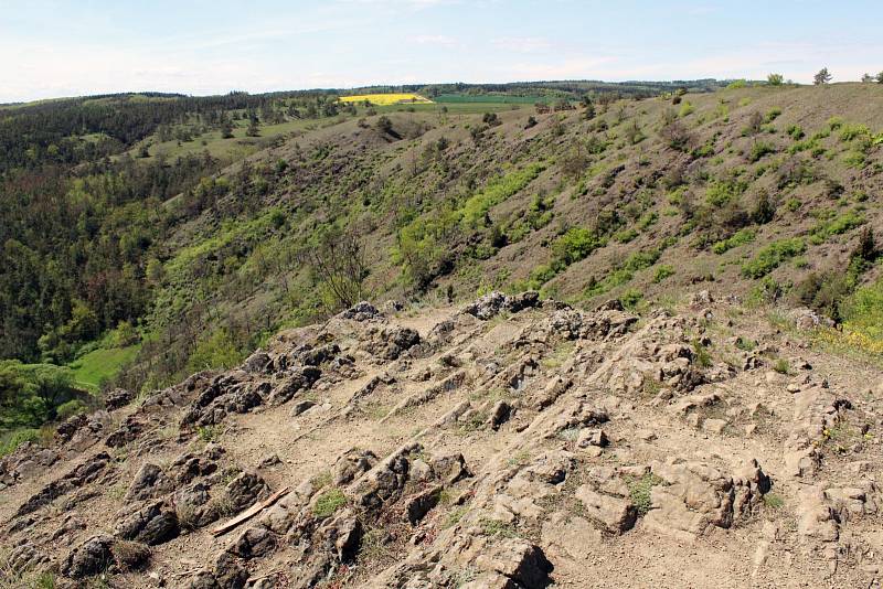 Mohelenská hadcová step