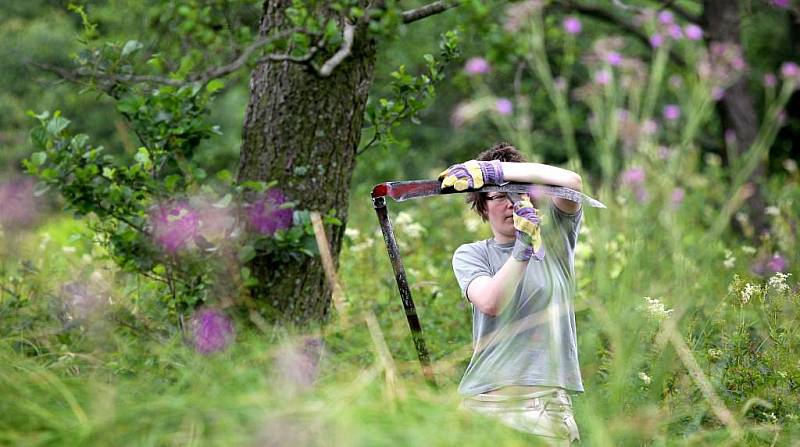 Devět dobrovolníků z řad ochránců přírody v pondělí časně ráno začalo kosit chráněná podmáčená luka se vzácnými orchidejemi poblíž Zašovic na Třebíčsku.