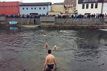 Lední medvědi z Třebíče si v sobotu zaplavali v řece Jihlavě. 
