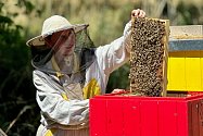 V Číměři u Třebíče stáčeli první obecní med.