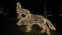 Třebíč přivítala advent. Po celém městě lze najít nejen běžnou vánoční výzdobu, ale i různá svítící zvířata, postavy, na Hrádku je opět i vánoční průchod.