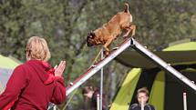 Velikonoční agility závod v Třebíči.