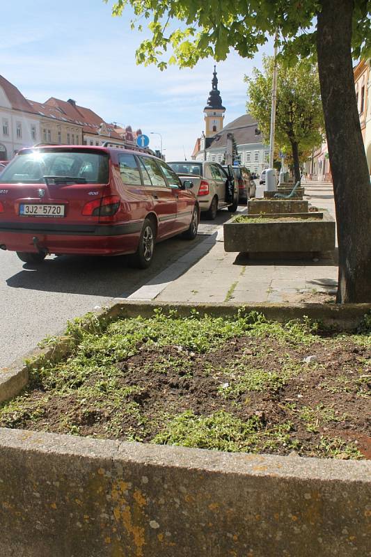 Centrum Budějovic změní tvář. Betonové květináče a rezavé sloupy zmizí