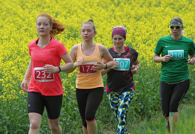 Halahoj Třebíčský půlmaraton 2019