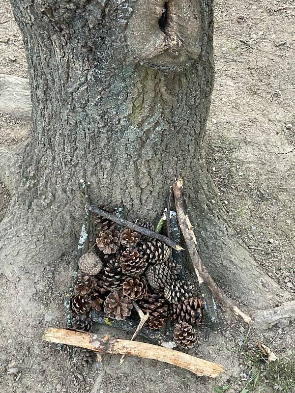 Land art v Rudíkově