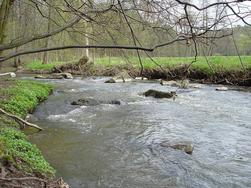 Údolí řeky Rokytné.