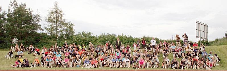 Mezinárodní mistrovství ČR border kolií v agility v Třebíči.