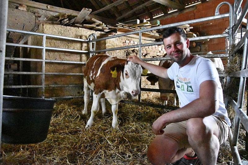 V Račicích na Třebíčsku funguje mlékomat. Lidé si zde mohou koupit čerstvé mléko od pěti krav z místní farmy, které se jmenují Alžběta, Julie, Rozárka, Kopretina a Zita.