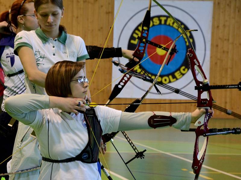  Desítky borců se o víkendu sjely do Třebíče na 22. mistrovství České republiky v halové lukostřelbě. Každý chtěl ze sebe vydat maximum, protože kromě umístění v republikovém žebříčku měli rovněž možnost kvalifikovat se na olympiádu nebo paralympiádu. 