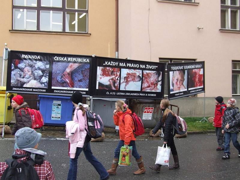 Drastická výstava v Sirotčí ulici zaskočila snad každého. Podle studentů i učitelů se organizátoři zachovali zvlášť necitlivě zejména vůči malým dětem, které chodili kolem na oběd. 