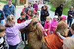 Pohladit si živého velblouda měli možnost dospělí i děti na Vratislavově náměstí.