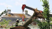 Několik vzrostlých stromů bouřka vyvrátila také v aleji u žďárského zámku. S odstraněním kmene, který přepadl přes zámeckou zeď do zahrady Kinských, museli přijet pomoci žďárští profesionální hasiči.