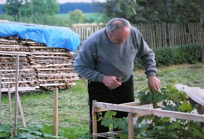 Vinohrad vyžaduje spoustu práce. Výsledek pak ale stojí za to.