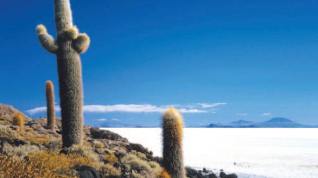 Zájemci o promítání spatří i největší solnou pláň světa Salar de Uyuni s rozlohou 10 582 km2.