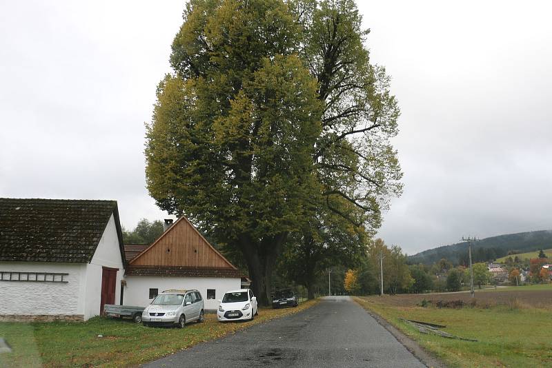 Za prohlédnutí stojí exteriér i interiér.