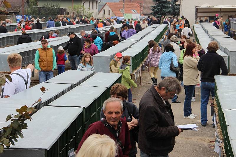 V sobotu bylo otevřeno od 7 do 18 hodin, návštěvníci výstaviště zaplnili hned ráno.