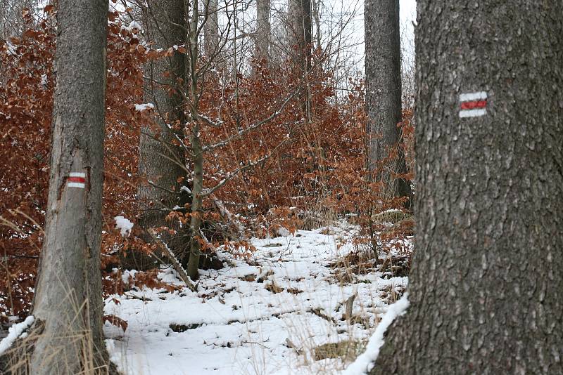 Vykácené stromy, paseky, mizející turistické značení i tabulky terénní záchranné služby má na svědomí lýkožrout smrkový.