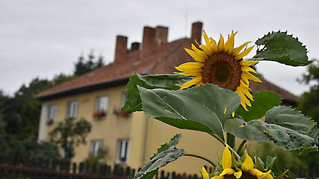 Moravec je dopravním uzlem, je z něj stejně daleko do Bystřice i Žďáru