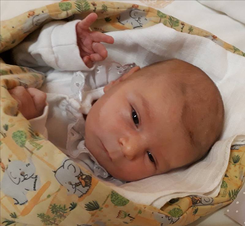 Dominik Brož, Žďár nad Sázavou, 19.4. 2018, 3080 g, 50 cm