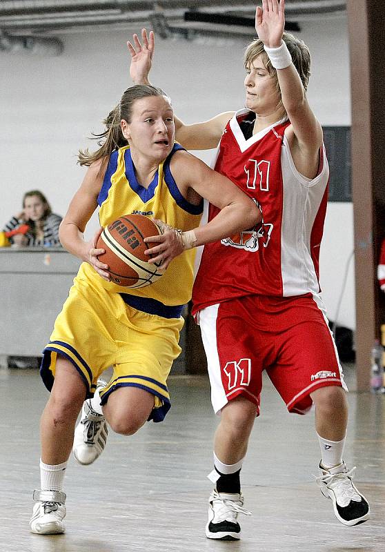 Posledních třináct let žďárského basketbalu očima fotografů Žďárského deníku.