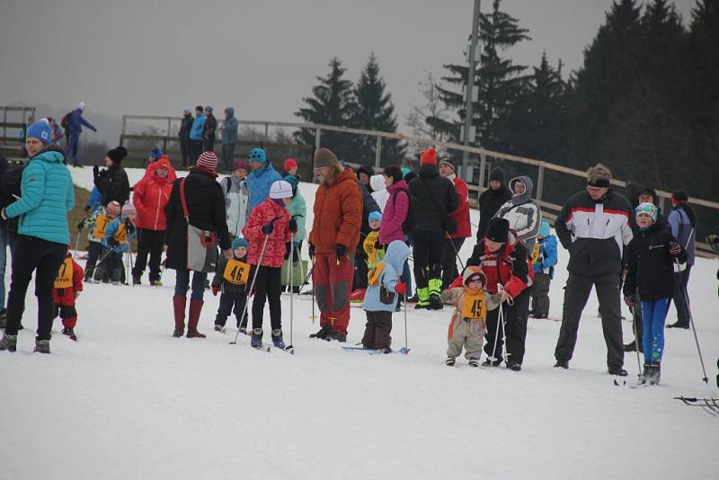 Párkové závody ve Vysočina Areně