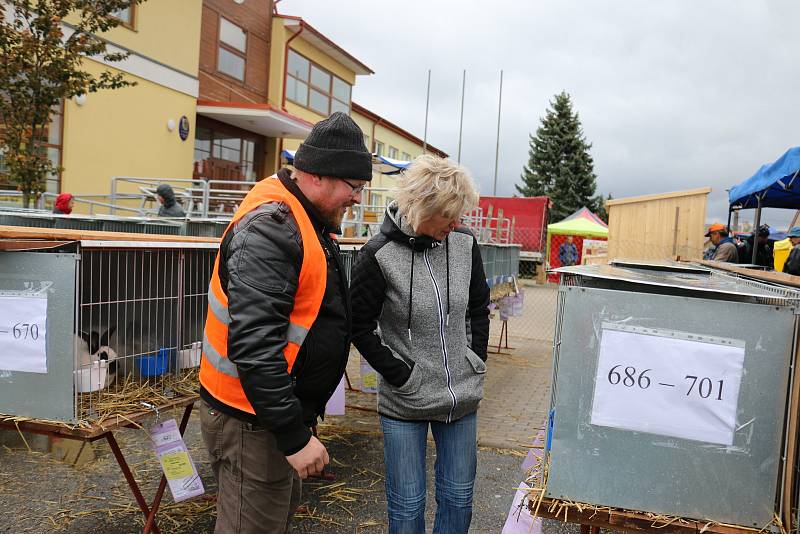 Na výstavě drobného zvířectva si přišel každý na své.