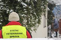 Veterináři z Krajské veterinární správy v Jihlavě utratili šest slepic a kohouta také v sousedním chovu Marty Němcové.